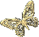 0_5884d_5f50330f_S.gif