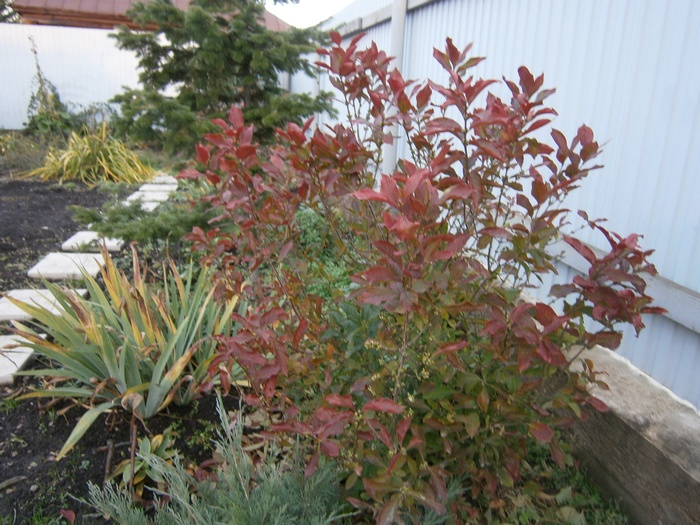 PA080243.JPG