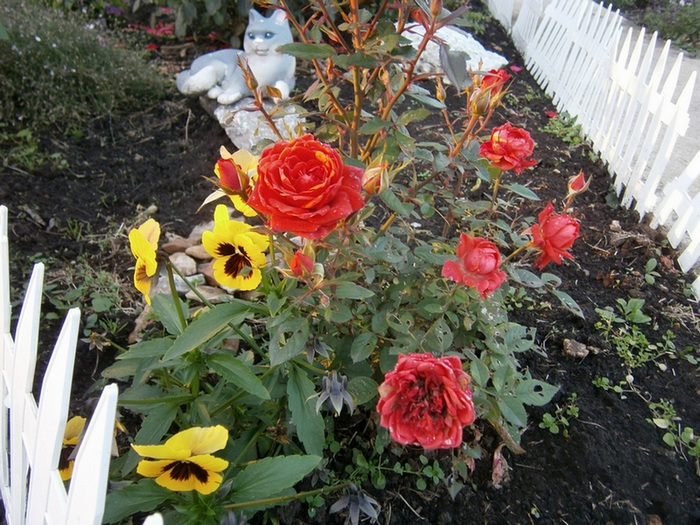 PA080241.JPG