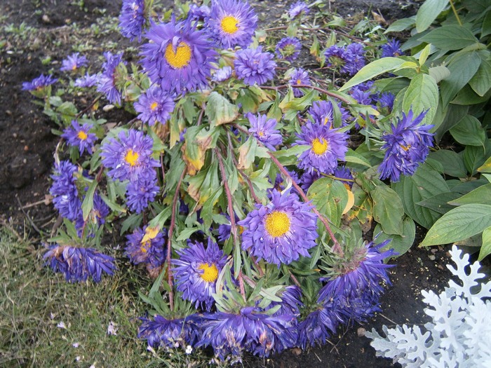 PA080242.JPG