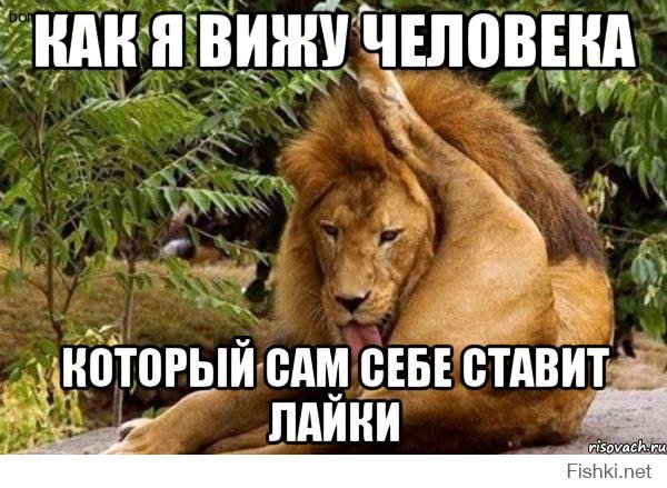 Как сразу поставить лайки на все