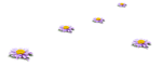 0_83815_6ba865d_S.png
