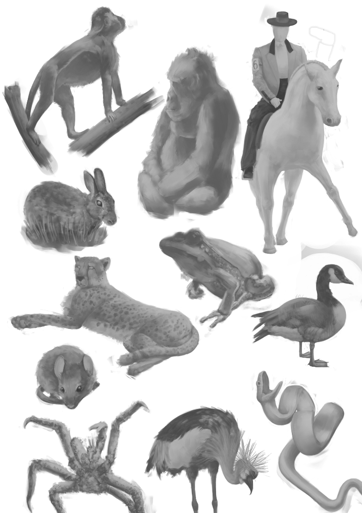 животные1.jpg животные1.jpg