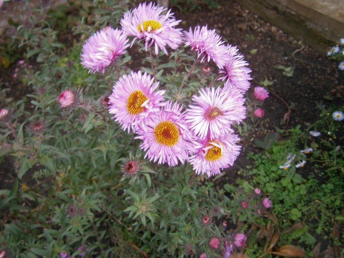 PA080246.JPG