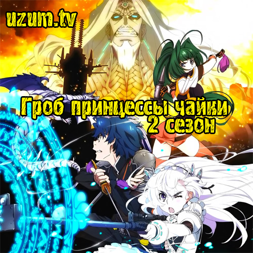 Гроб принцессы чайки[TB-2]  / Hitsugi no Chaika: Avenging Battle  [2014]