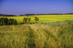 Клик для увеличения