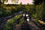 Клик для увеличения