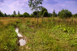 Клик для увеличения