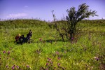 Клик для увеличения