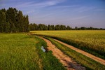 Клик для увеличения