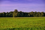 Клик для увеличения